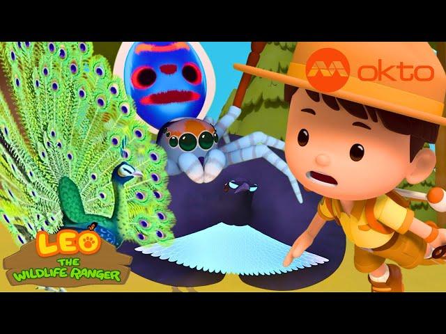 SUPERB BIRD Dance RESCUE Adventure  | Leo Compilation | @mediacorpokto