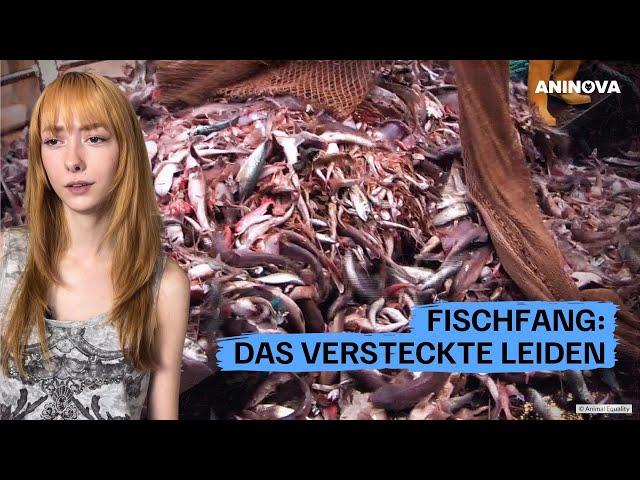 Fischfang: Das versteckte Leiden 