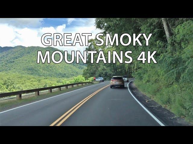 Drive 4K - America's Most Popular Park - USA