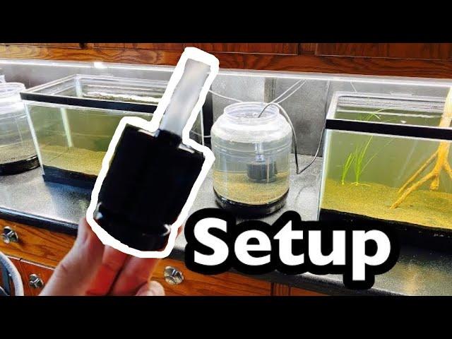 Aquaneat Nano Sponge Filter Setup