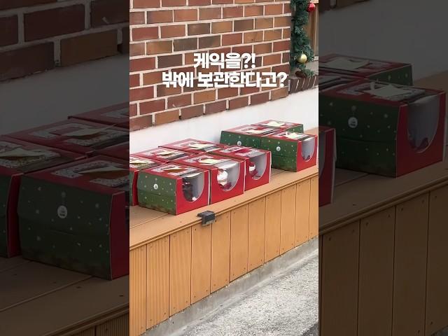 이건 진짜 한국만 가능한거ㅋㅋㅋㅋㅋ