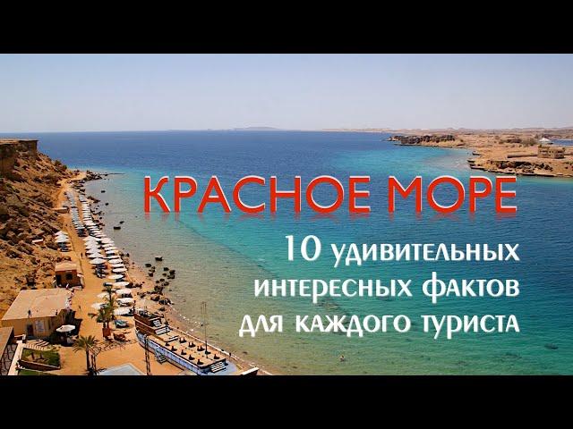 10 интересных фактов про Красное Море. Египет 2021.