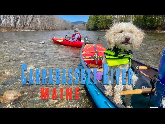 Carrabasset River, Maine: Oakley's first whitewater