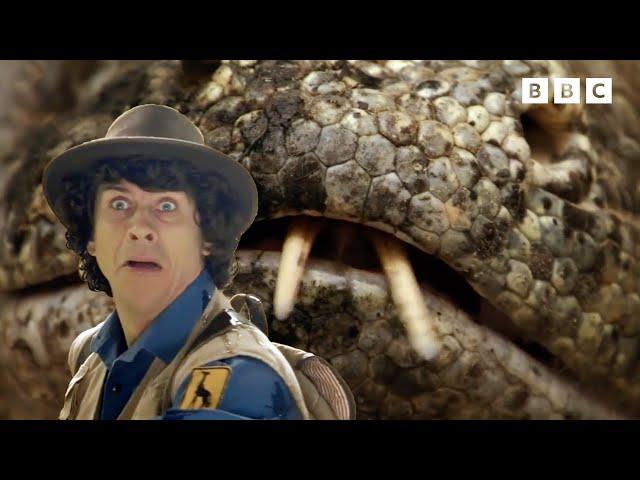 Deadliest Crocs and MORE | 20+ Minutes | Andy's Amazing Adventures