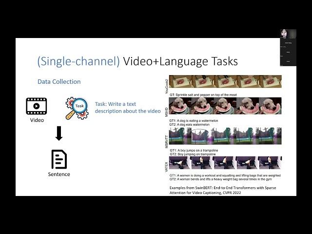 [VLP Tutorial @ CVPR 2022] Video-Text Pre-training Part II