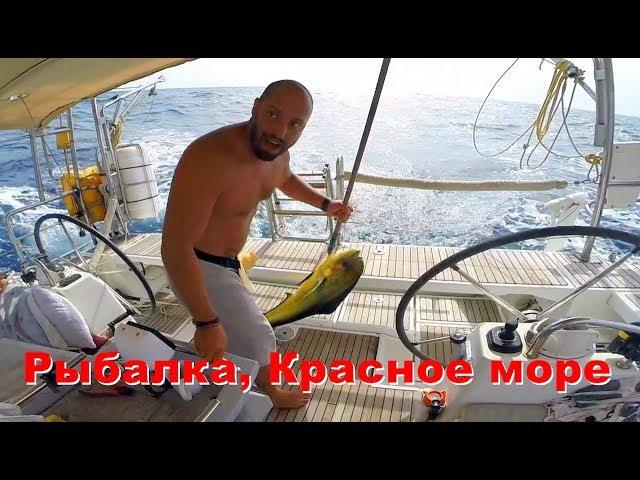 Красное море на яхте. Погода в Красном море. Рыбалка на яхте и очень длинный переход в разной погоде