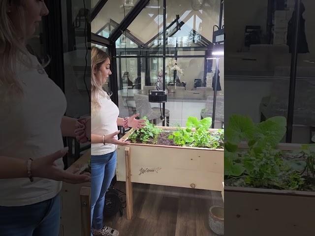 LifeSpace Self-Watering Gardens + BC Greenhouse Builders