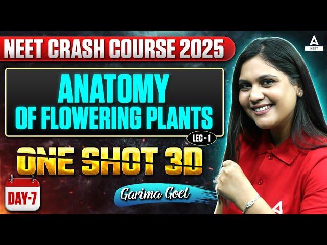 Anatomy of Flowering Plants Class 11 One Shot (L-1) | NEET Crash Course 2025 | Garima Goel