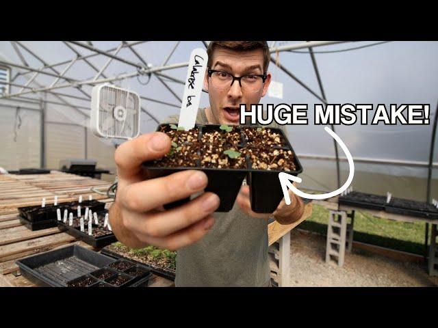 This Transplanting Tip BLEW MY MIND and Saved Me From Killing Plants!