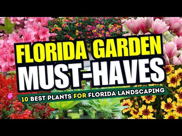  FLORIDA GARDEN MUST-HAVES! Top 10 Best Plants for Florida Landscaping 