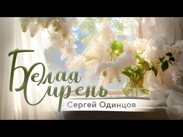 БЕЛАЯ СИРЕНЬ | Сергей ОДИНЦОВ | Новинка 2024