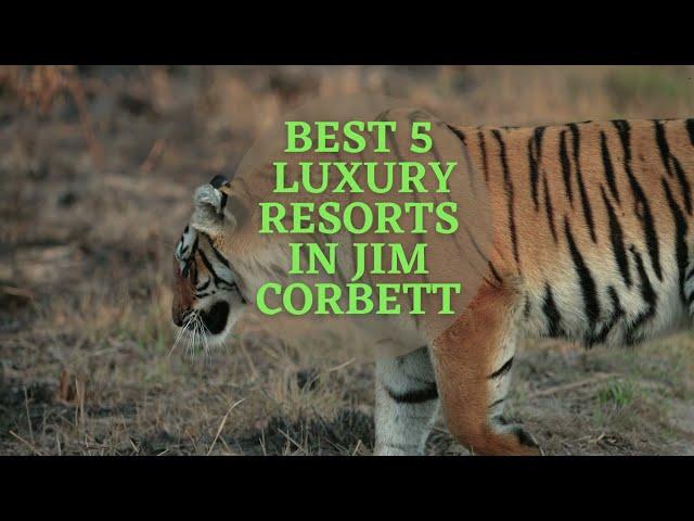 Top 5 Luxury Resorts in Jim Corbett | 5 Star Resorts in Jim Corbett | Luxury Resorts in Jim Corbett