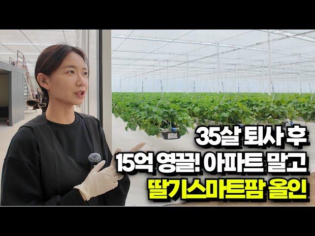 35살 퇴사후 15억영끌! 아파트 말고 딸기스마트팜 올인(Quit at 35, bet $1.08M on a strawberry smart farm over an apartment)