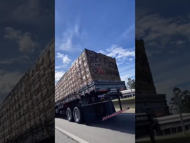 Why Are Brazilian Trucks Built So High? #shorts