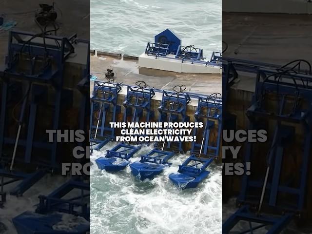 WAVE ENERGY  #sustainability