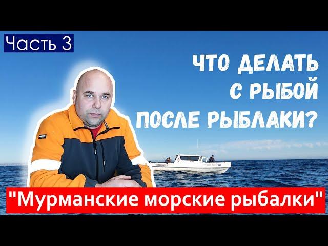 Что делать с рыбой после рыбалки? Рыбалка на треску, пикшу, сайду. Мурманские морские рыбалки.