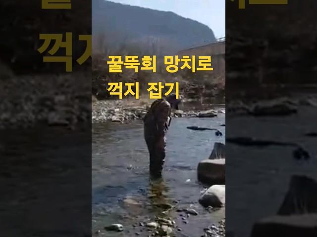 길안천 꿀뚝회 망치로 꺽지 잡기