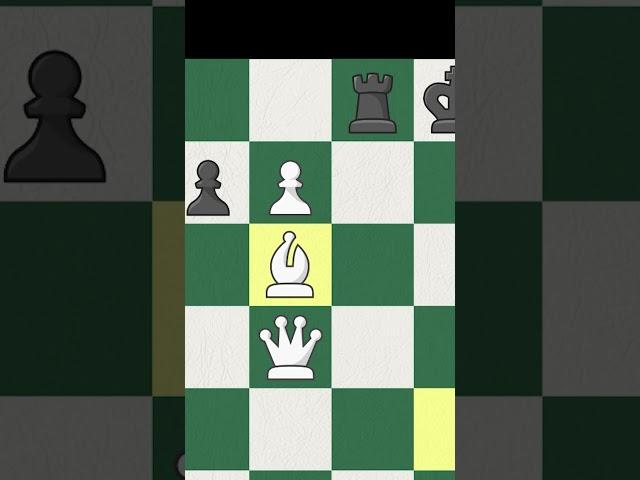 2 QUEENS? | Chess Memes #shorts #chess #chessmemes