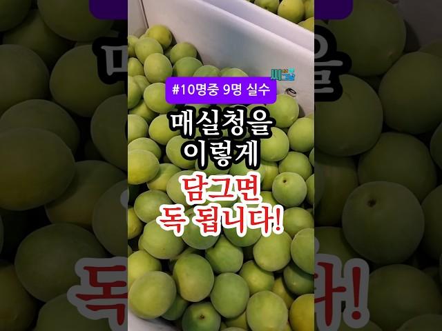 매실청 잘못 담그면 독 됩니다! 90%가 저지르는 치명적 실수 #건강 #건강정보
