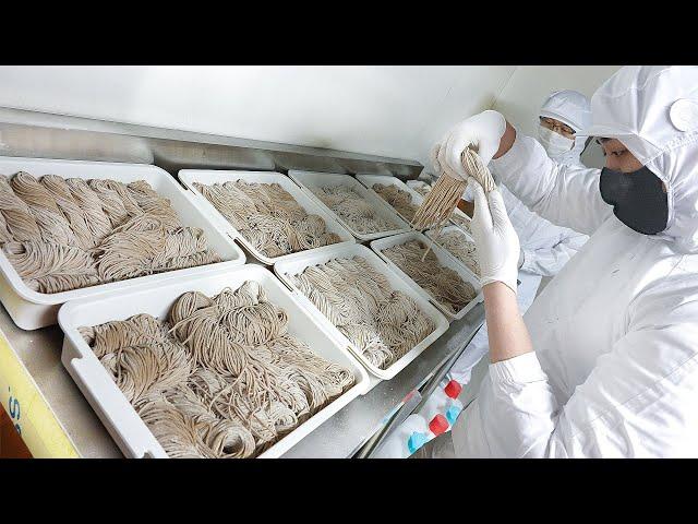 Amazing! Handmade buckwheat noodles & green onion pork cutlet - Korean street food