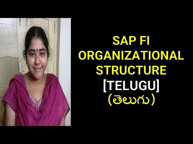 SAP FI ORGANIZATIONAL STRUCTURE IN TELUGU | SAP TELUGU TUTORIALS | SAP TELUGU