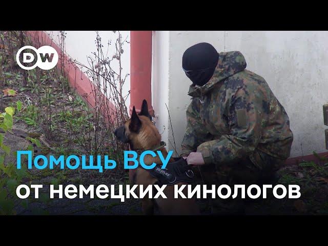 Бундесвер помогает обучать украинских кинологов