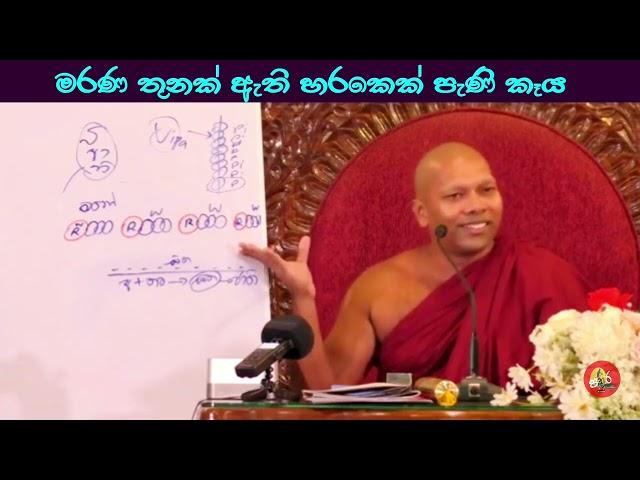 මරණ තුනක් ඇති හරකෙක් පැණි කෑය#ven.Hadapangoda Niwathapa thero#dharmayai obai#pahura #bana #buddha