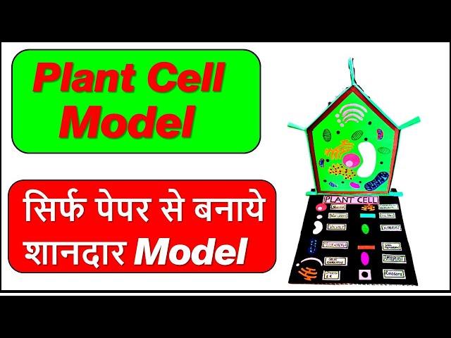 Plant Cell model making using cardboard | biology project | diy science project | bio project