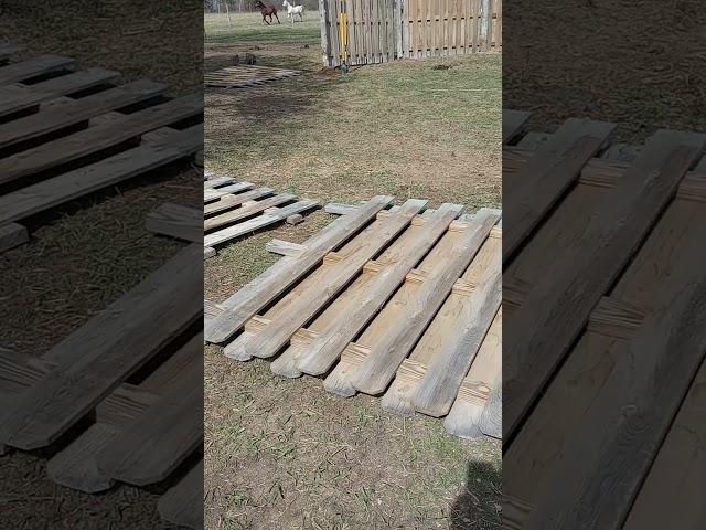 Building The Round Pen For The Horses! #alphaacres #homesteading #farming #arabianhorses  #country