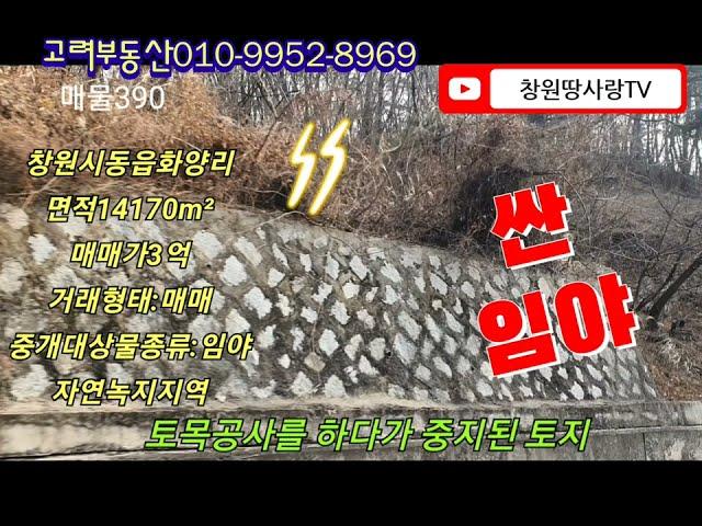 창원동읍 싼임야 개발하기좋은산 준보전산지 경사도15-20도 임업후게자용토지
