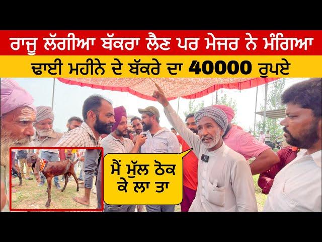 ਢਾਈ ਮਹੀਨੇ ਦੇ ਬੱਕਰੇ ਦਾ 40000 ਰੁਪਏ | Longowal bakra mandi | goats goat #goat#goats @iltilanadhuri