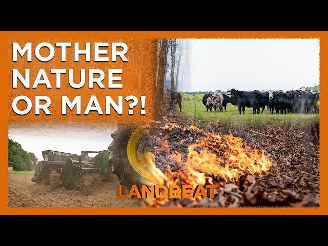 Mother Nature Or Man?? Who Does it Better?! | Habitat Management