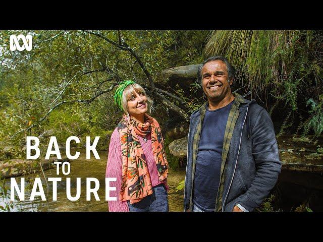 The health benefits of nature | Back To Nature