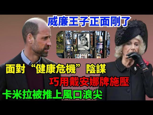 威廉王子正面剛了！面對“健康危機”陰謀，巧用戴安娜牌施壓，卡米拉被推上風口浪尖！#梅根#威廉王子#凯特#查尔斯#哈里王子#卡米拉#乔治王子#夏洛特公主#路易斯王子#蘇菲王妃#安妮公主#戴安娜#英女王