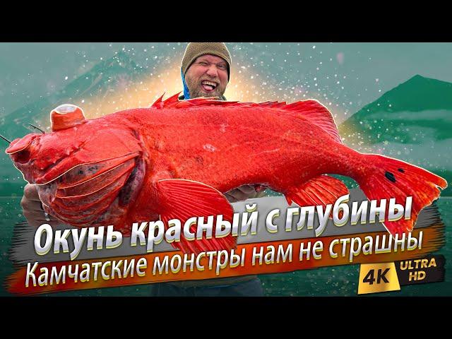  All the kinds of sea fish of Kamchatka in two days! Where to fish and how to catch?