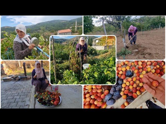 ÖZELİMLE İLGİLENMEYİN İNSANA FAYDALI MIYIM ONA BAKIN | YENGEM BAHÇE TURU ÜZÜM  ARIDAN NASIL KORUNUR?