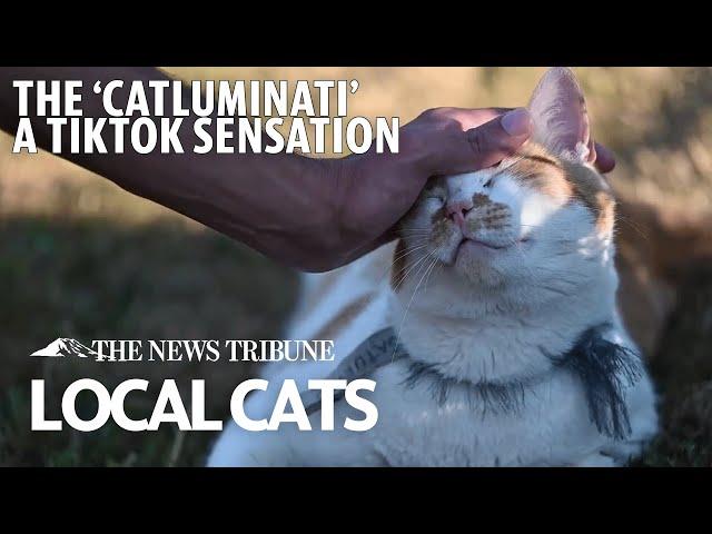 Tacoma's Viral TikToker, 'The Catluminati', Who Is Making Neighborhood Cats Famous