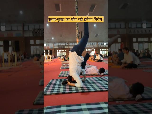 yogasan #exercise #yoga #danceworkout