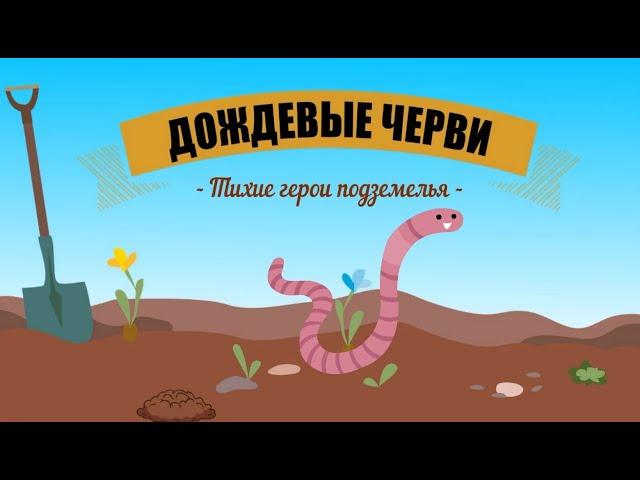 Earthworms: Underground Heroes | Why are Earthworms Important? |The Wonderful World of Invertebrates