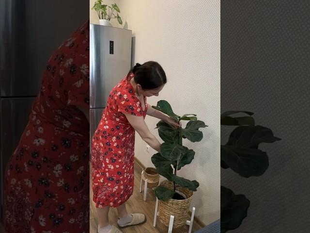 Не делайте это! Бесполезное занятие!