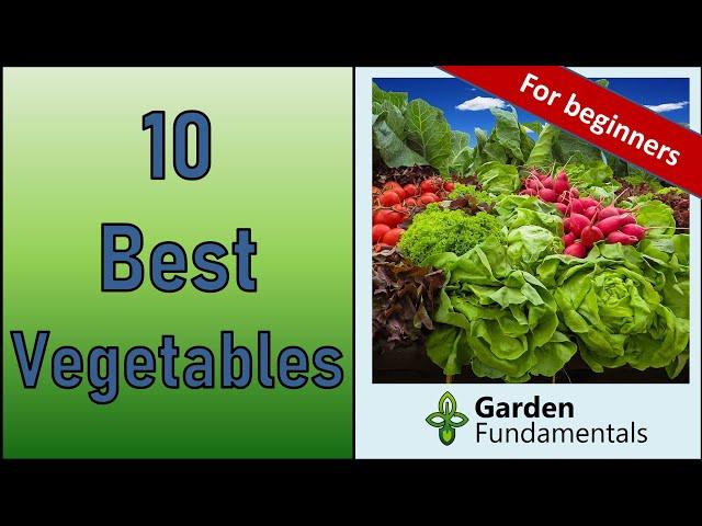 10 Best Vegetables to Grow for New Gardeners 10 complete videos - one for each vegetable