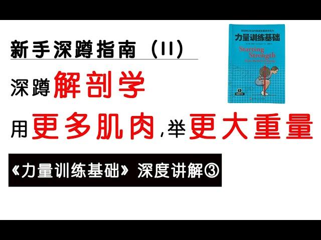 《力量训练基础》③深蹲解剖学，教你如何使用更多肌肉，举起更大的重量（strating strength book review）