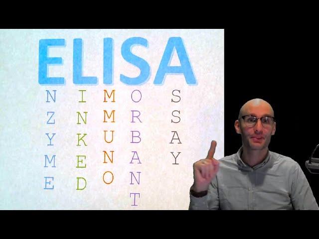 How do ELISAs work?