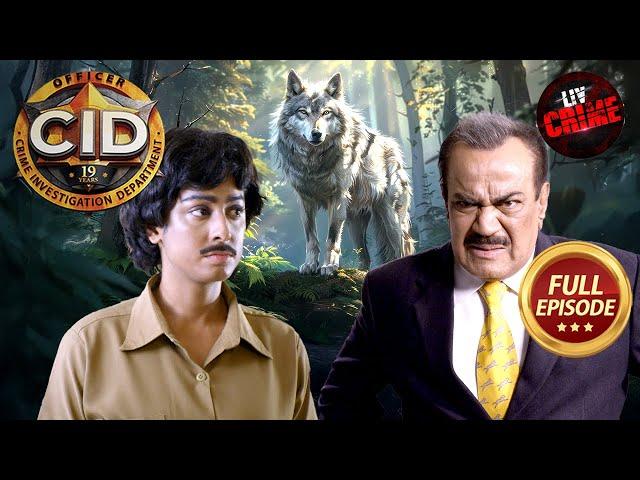 CID ​​कैसे करेगी Wild Wolf का सामना? | CID | सी.आई.डी. | Latest Episode | 9 Nov 2024