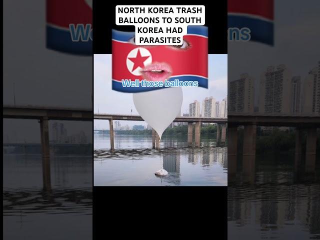 North Korea Trash Balloons To South Korea Had Parasites