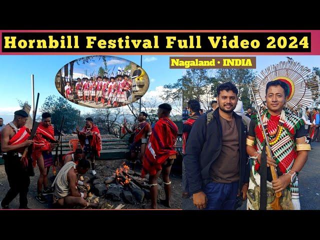 Why Hornbill Festival celebrated 2024 | Hornbill Festival 2024 | Details Video Hornbill | Take Wing