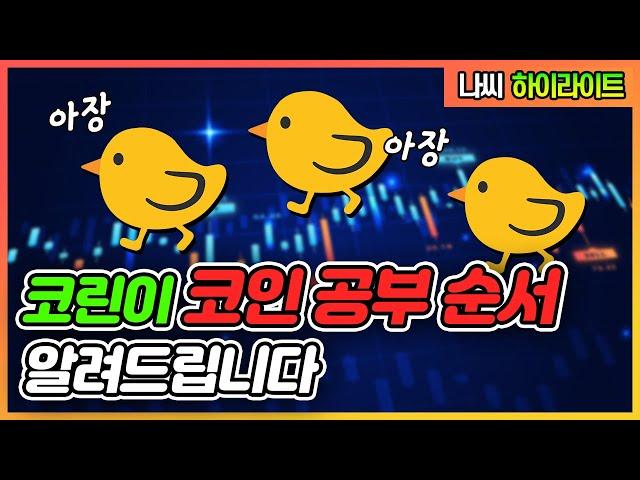 코인 단타를 배우고 싶은 코린이들을 위한 코인 공부 순서 그리고 QnA