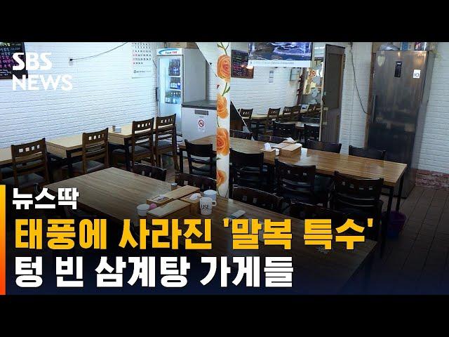 태풍에 사라진 '말복 특수'…한산한 삼계탕 가게들 / SBS / 뉴스딱