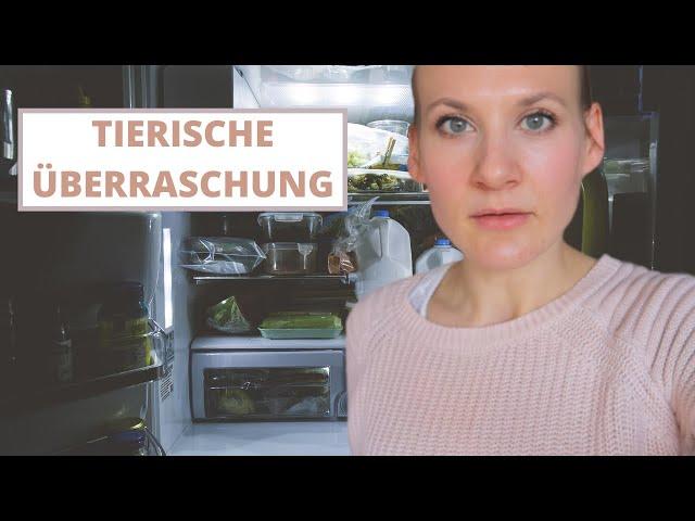 Das erwartet man nicht im Kühlschrank  Vlog | Simone Stark