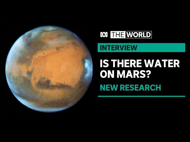 Scientists discover reservoir of liquid water deep in the rocky crust of Mars | The World